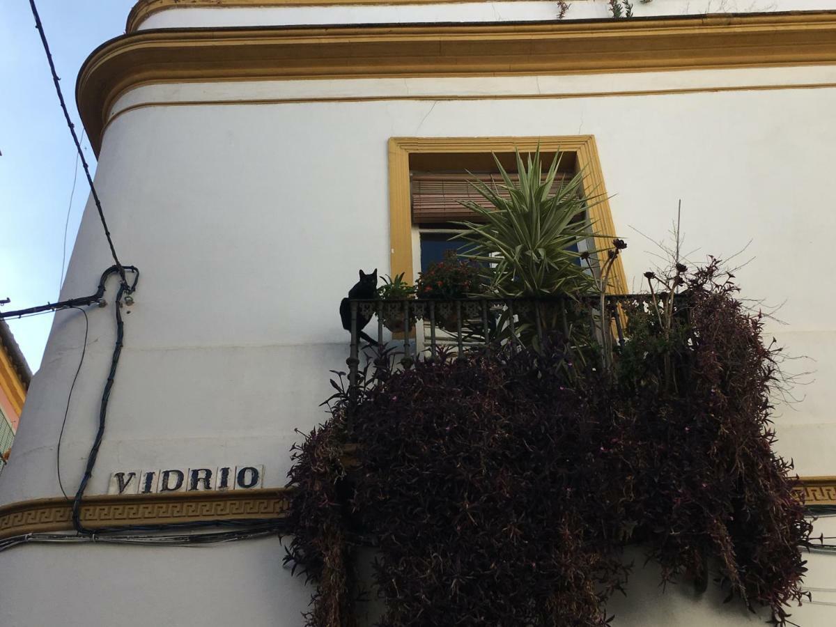 Vidrio Apartment إشبيلية المظهر الخارجي الصورة